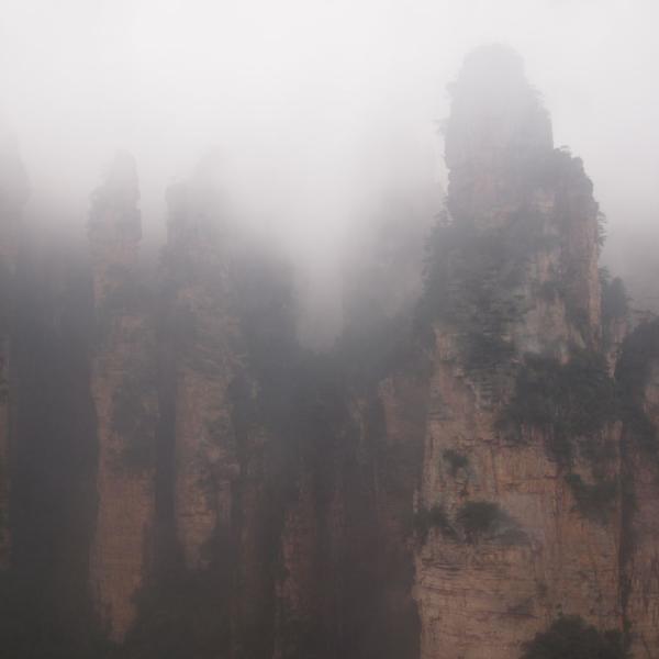Аватар-парк в тумане