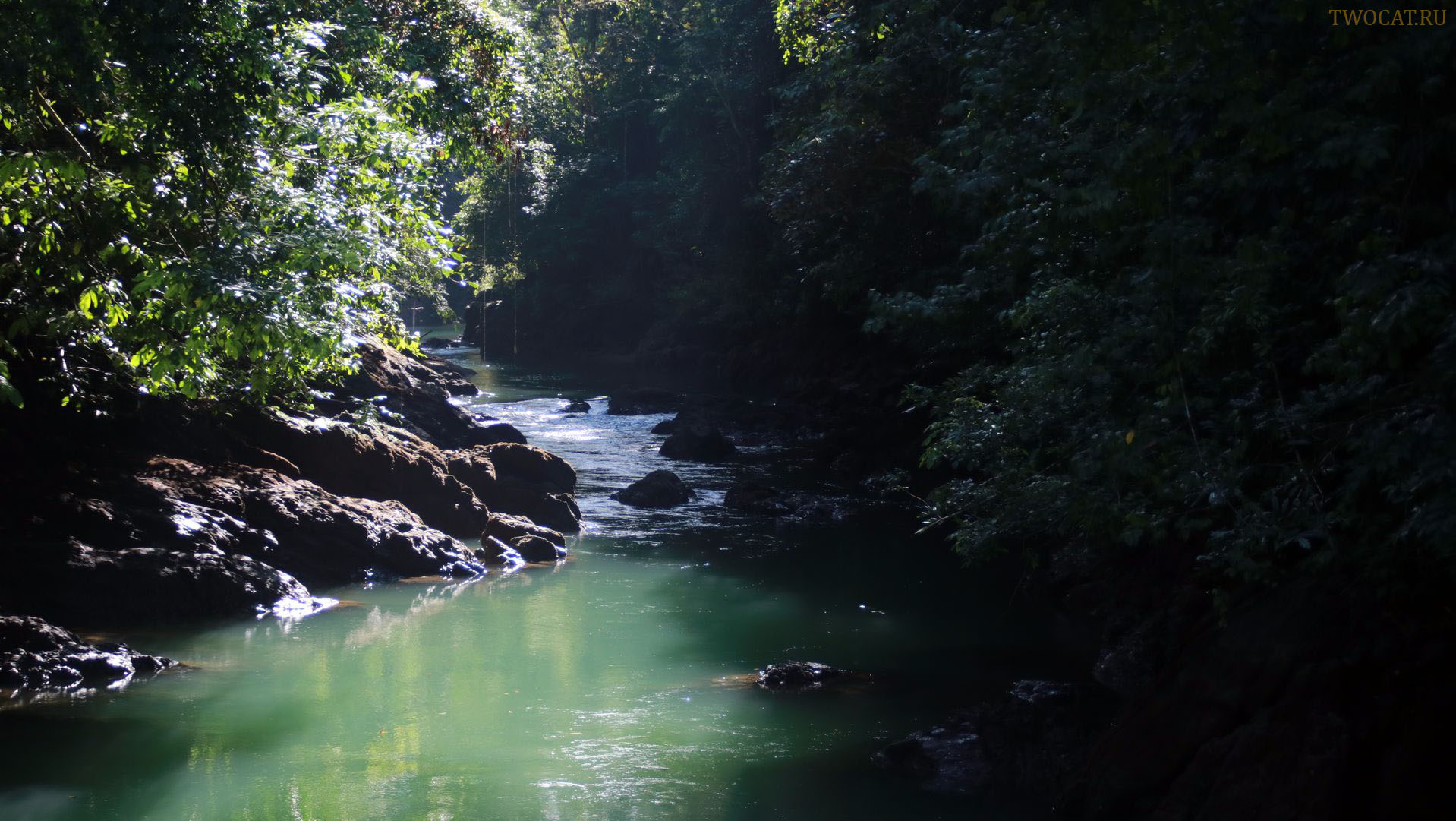 Река в джунглях