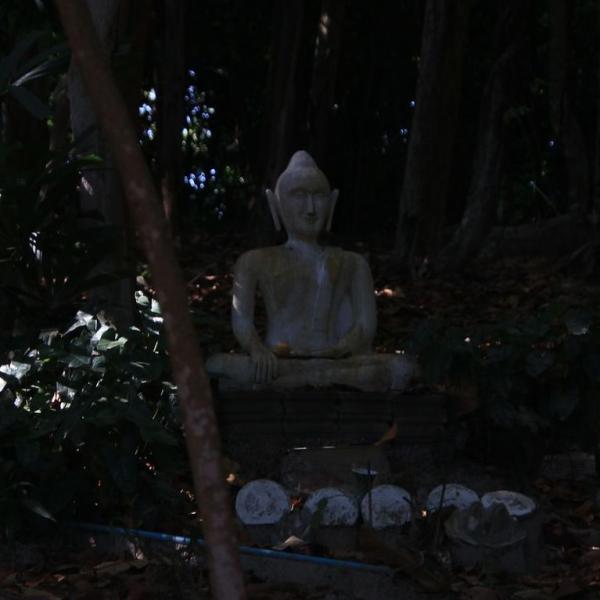 Будда в джунглях