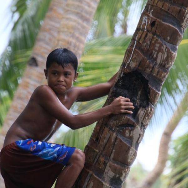 Дети лазали на пальму