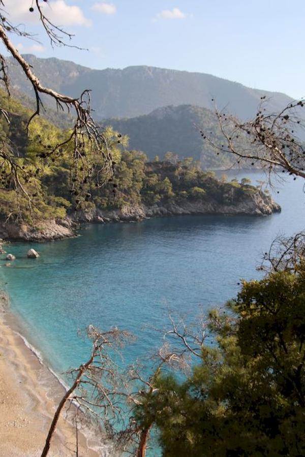 Paradise bay