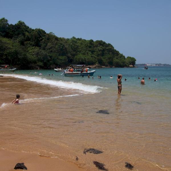 Jungle beach