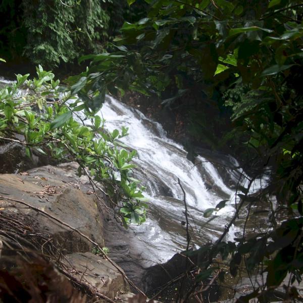 Thattu waterfall