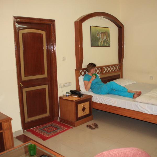 Номер в отеле в Рантамборе (городок Савай-Мадхопур)