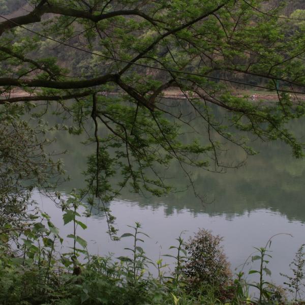 Вид на реку Лицзян в Яншо
