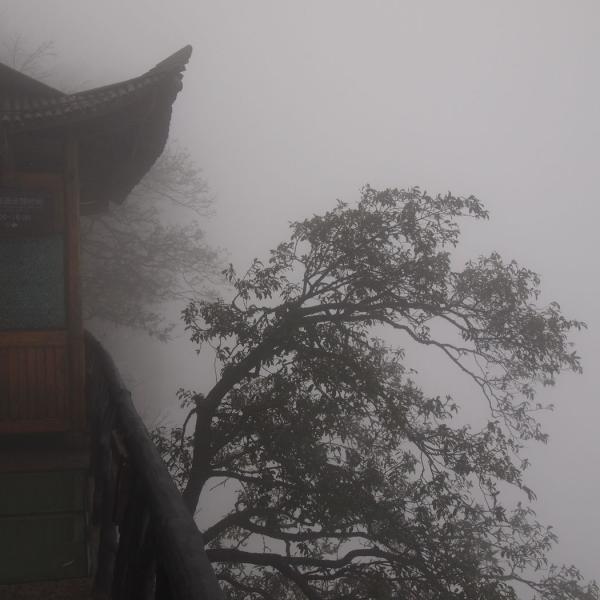 На вершине Тяньмэньшань
